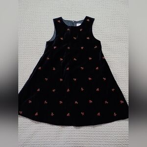 Gymboree Black Dress with Red Floral Embroidery